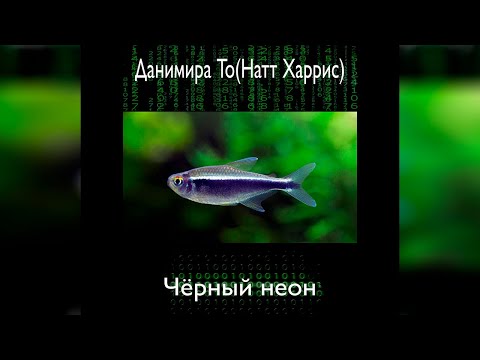 Данимира То  - Черный неон (аудиокнига) | фантастика, цифровое бессмертие
