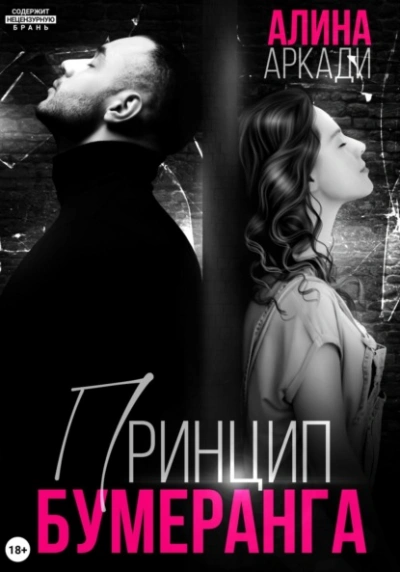 Принцип бумеранга - Алина Аркади