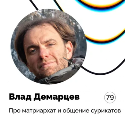 Про матриархат и общение сурикатов — Влад Демарцев - Кирилл Баталкин